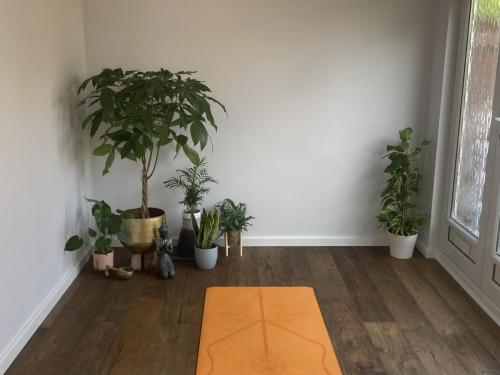 Yoga Studio 3