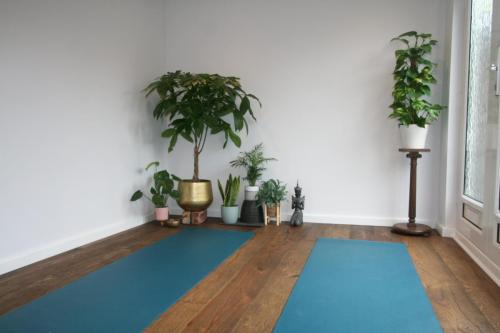 Yoga Studio 1